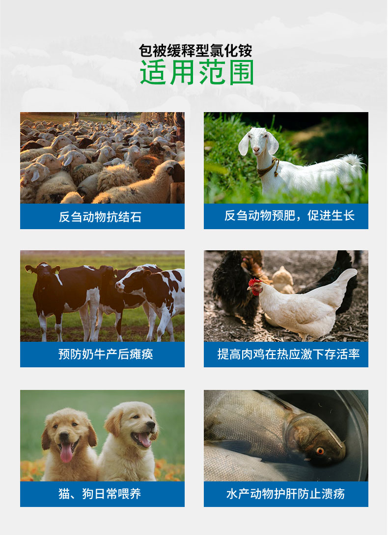 包被型飼料添加劑氯化銨