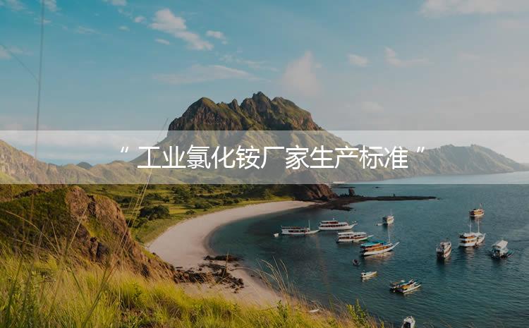 工業(yè)氯化銨廠家生產(chǎn)標(biāo)準(zhǔn)，生產(chǎn)過程進行嚴(yán)密的監(jiān)控！